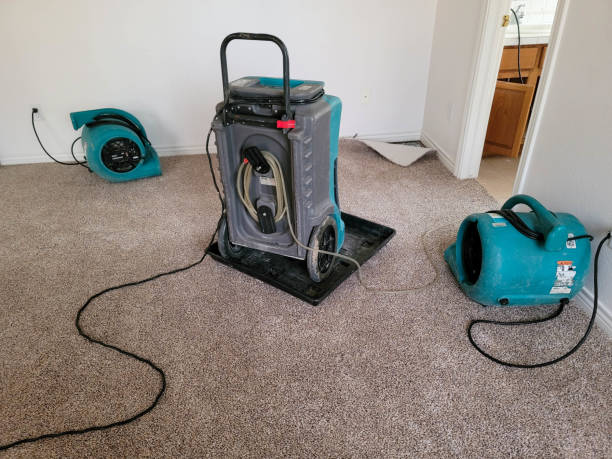 Best Water damage restoration near me  in Napili Honokowai, HI