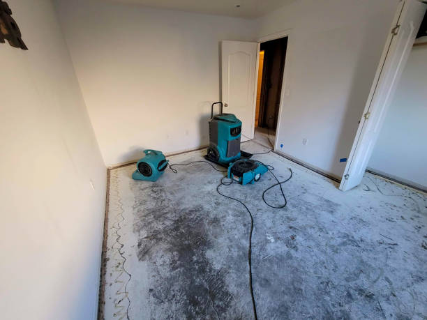 Best Water damage cleanup near me  in Napili Honokowai, HI