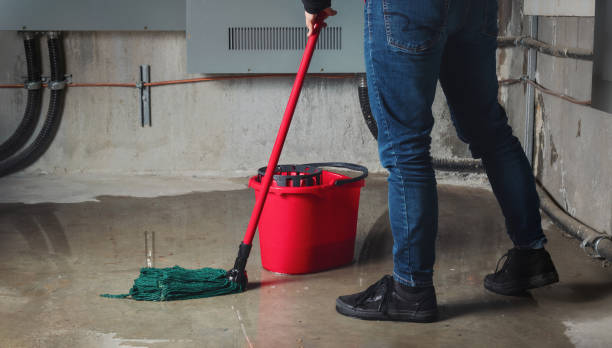 Sewage cleanup and water damage restoration in Napili Honokowai, HI