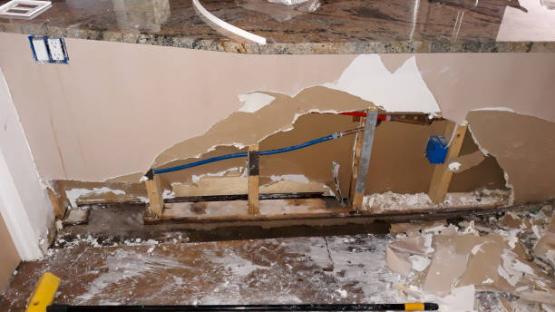 Best Emergency water damage restoration  in Napili Honokowai, HI