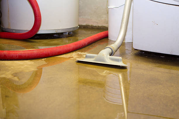 Best Emergency water damage restoration  in Napili Honokowai, HI